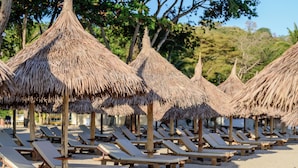 Una playa con hileras de tumbonas de madera y sombrillas de paja.