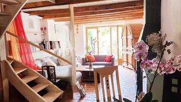 TV connectée, cheminée, lecteur de DVD, livres