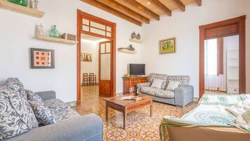 TV, fireplace, DVD player