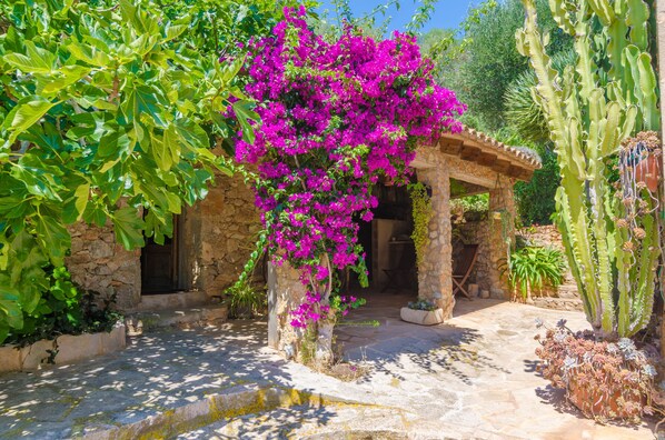 Property grounds - CAS CONCO - Traditional Majorcan house with private pool and luxuriant garden. Free WiFi (Felanitx)