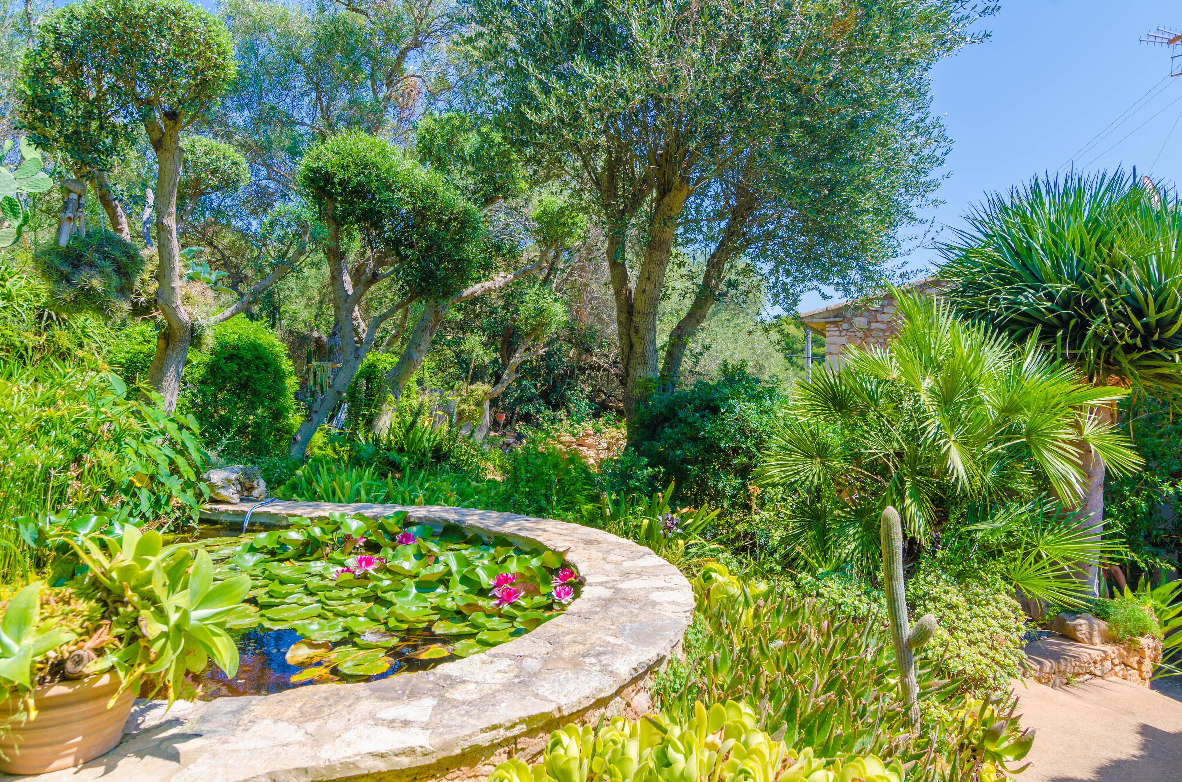 Overnatningsstedets område