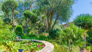 Een tuin met een ronde vijver, diverse planten en bomen.