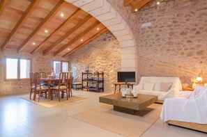 Televisie, een open haard, een dvd-speler en boeken