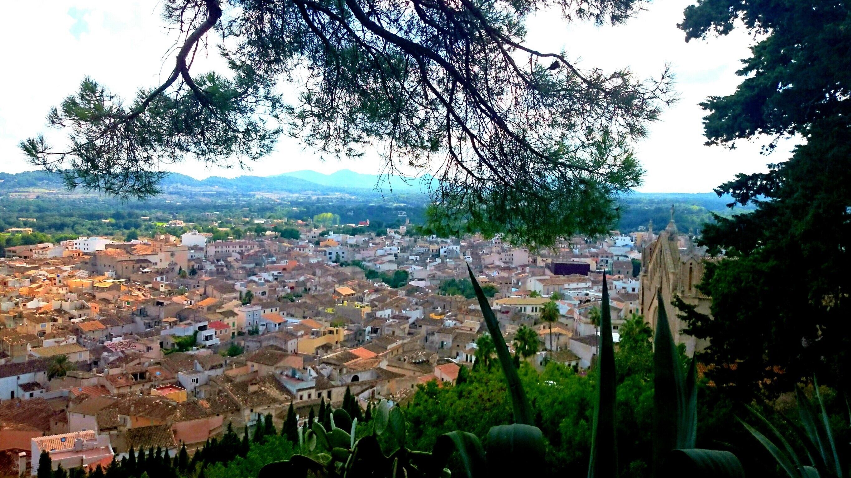 Une vue panoramique d’une ville avec des bâtiments denses, une église imposante et une végétation luxuriante environnante.