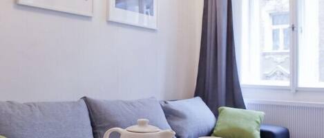 Smart TV, fireplace, books