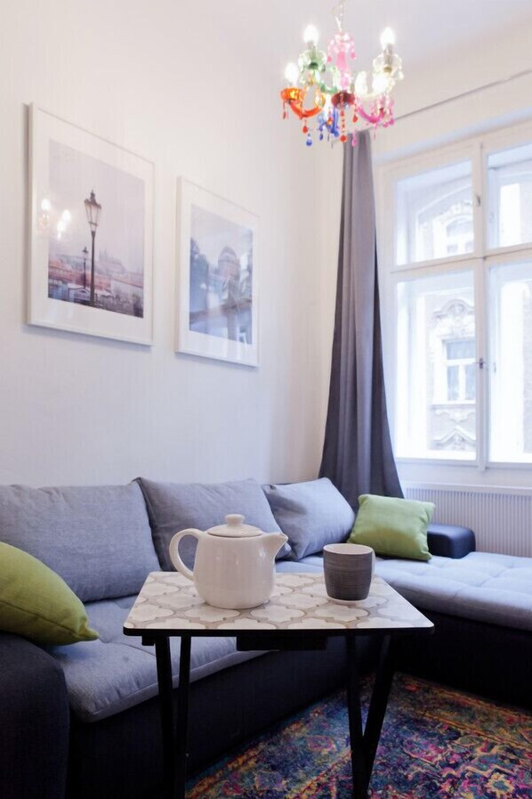 Smart TV, fireplace, books