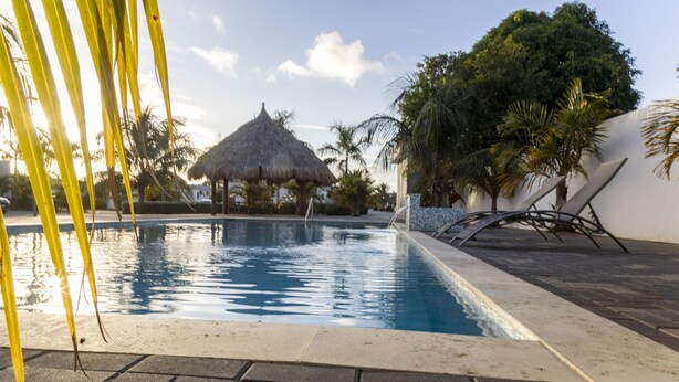 A swimming pool with a thatched roof structure in the background, surrounded by palm trees and a paved walkway. - Beautiful detached home with pool and gym! (Willemstad)