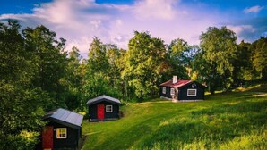 Two cabins in a grassy area surrounded by trees.