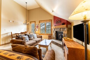 TV, fireplace, DVD player