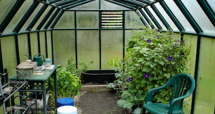 Morning Glory Camping Pod for 2 in Woodland Campground