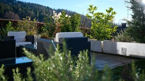 Terras
