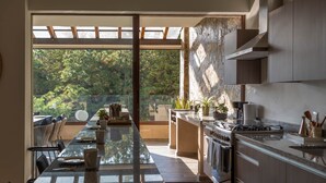 A modern kitchen with a large island, built-in appliances, and a view of a lush garden.