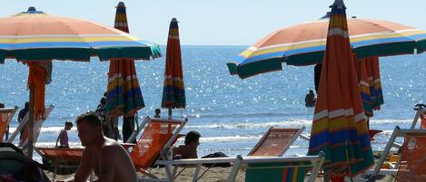 Playa en los alrededores