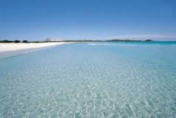 Une plage avec une eau claire et peu profonde, et une côte qui s’étend au loin.