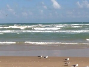 Enjoy the serene beach atmosphere with waves gently approaching the shore.
