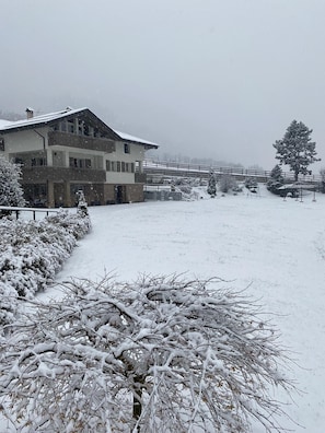 Un paysage enneigé avec un grand bùtiment, une zone délimitée par une clÎture et un arbre recouvert de neige.