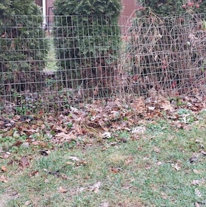Enceinte de l’hébergement