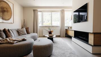 TV connectée, cheminée, chaßne hi-fi, espaces bureaux