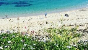 Una playa con agua turquesa cristalina, una persona de pie y algunas flores en primer plano.