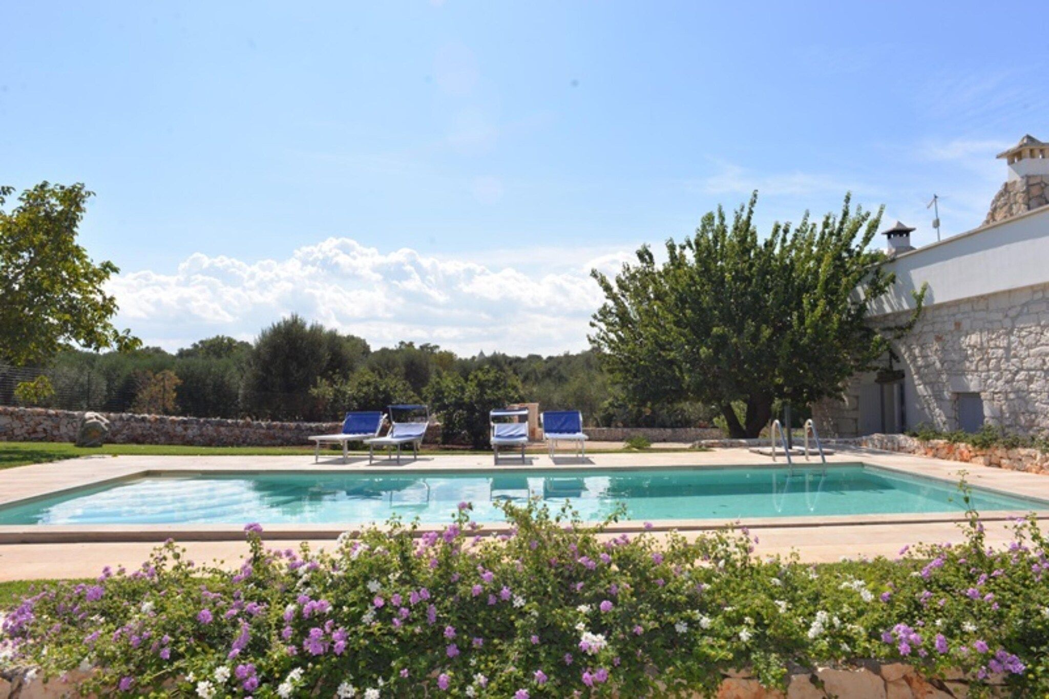 Holiday Home Swimming Pool