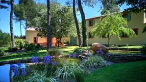 A garden with a pond, trees, and a building with a tiled roof. - Villa Lorna - 2 maisons - piscine privée (Aups)