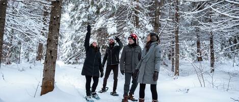 رياضات التزحلق على الجليد والماء