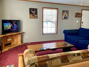 Smart TV - A peaceful Northwoods cottage with direct trail access. (Athelstane)