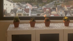 A window view of a cityscape with a row of potted plants on a cabinet. - A Nordic Design Apartment,close to the center, well prepared&super friendly host (Thành phố Đà Lạt)