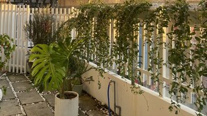 A covered outdoor area with a stone wall, potted plants, and a white fence. - A Nordic Design Apartment,close to the center, well prepared&super friendly host (Thành phố Đà Lạt)