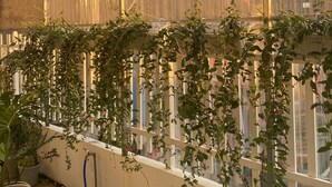 A greenhouse with a metal roof, potted plants, and a hose on the ground. - A Nordic Design Apartment,close to the center, well prepared&super friendly host (Thành phố Đà Lạt)