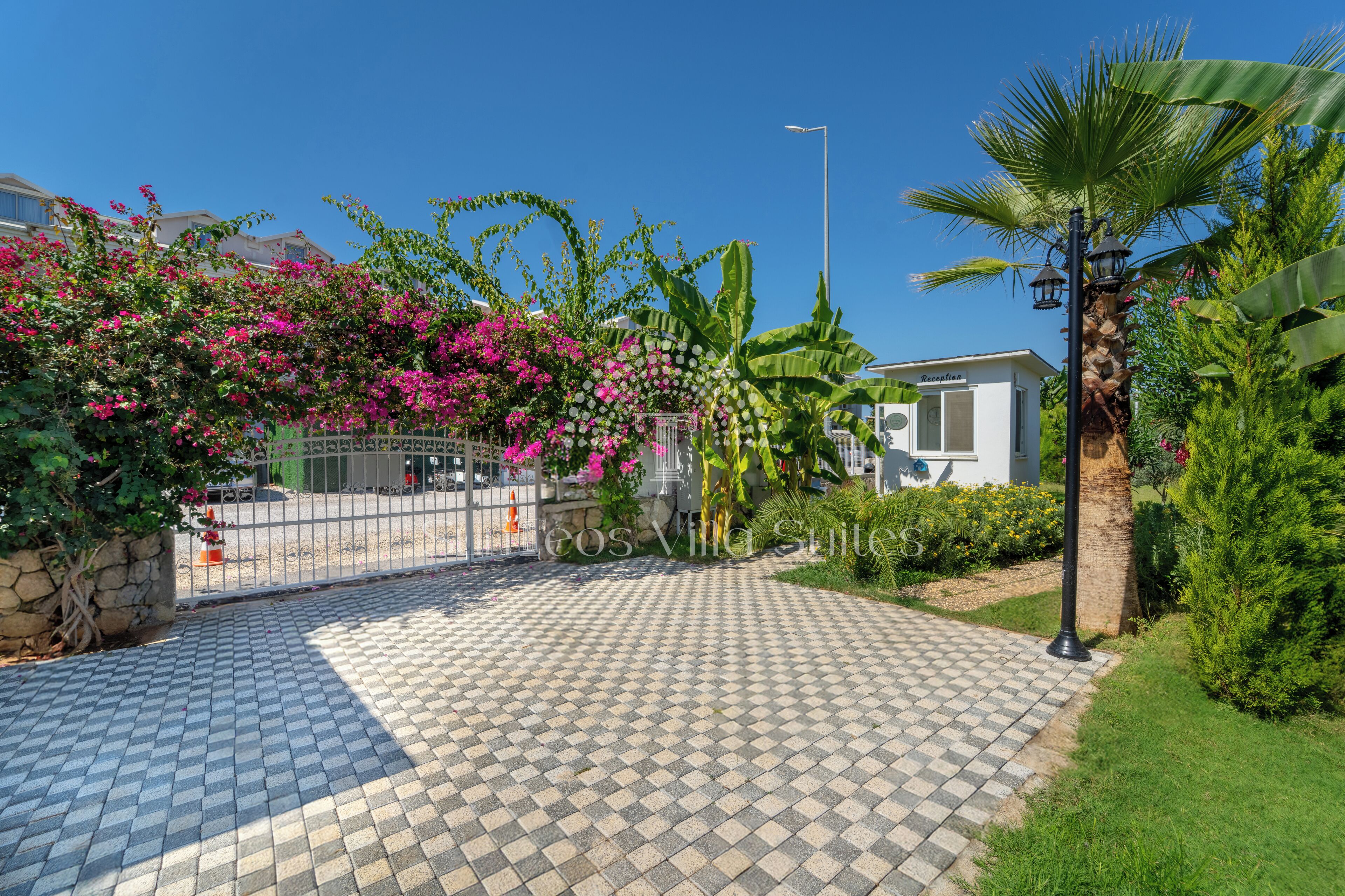 Photo - SunTeos Villa Suites