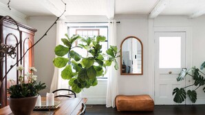Une pièce avec une table à manger en bois, une plante en pot, un miroir et une grande fenêtre avec des rideaux.