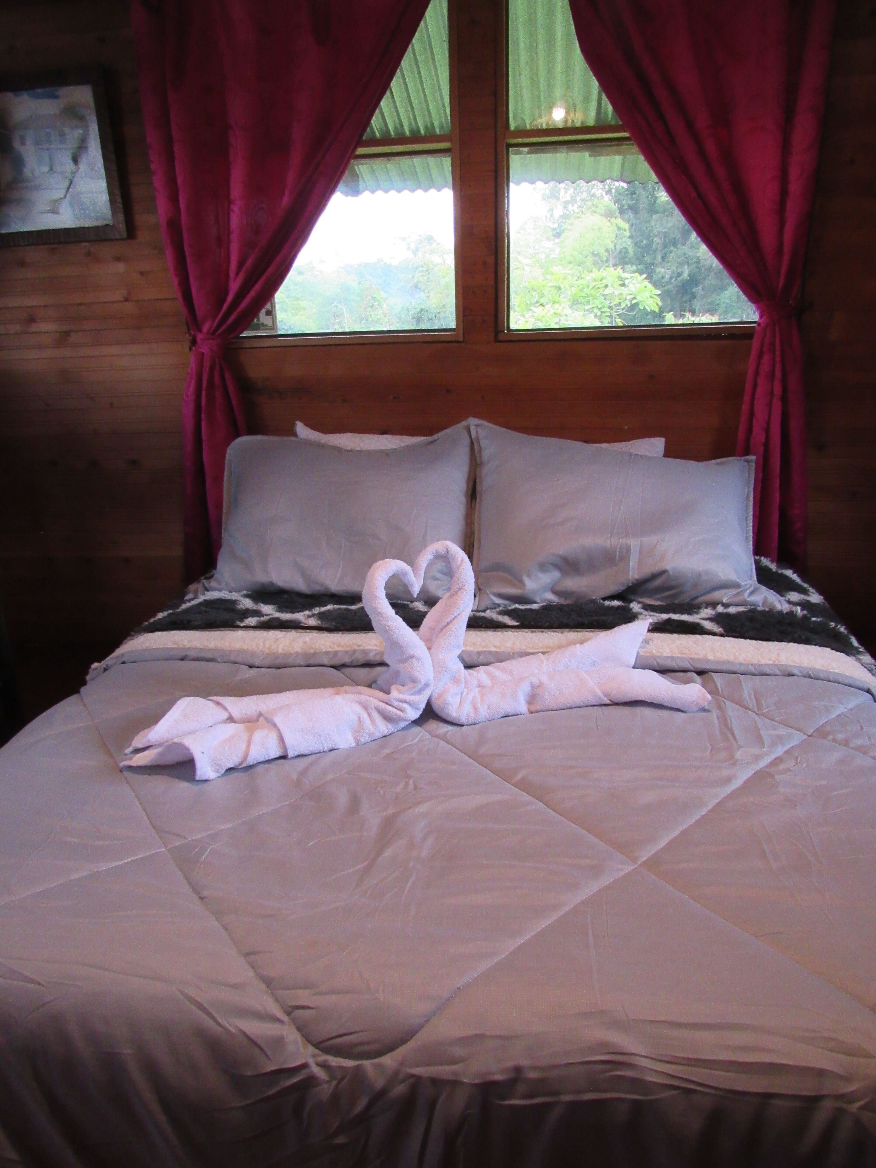 Foto - Cabañas/glamping monaco