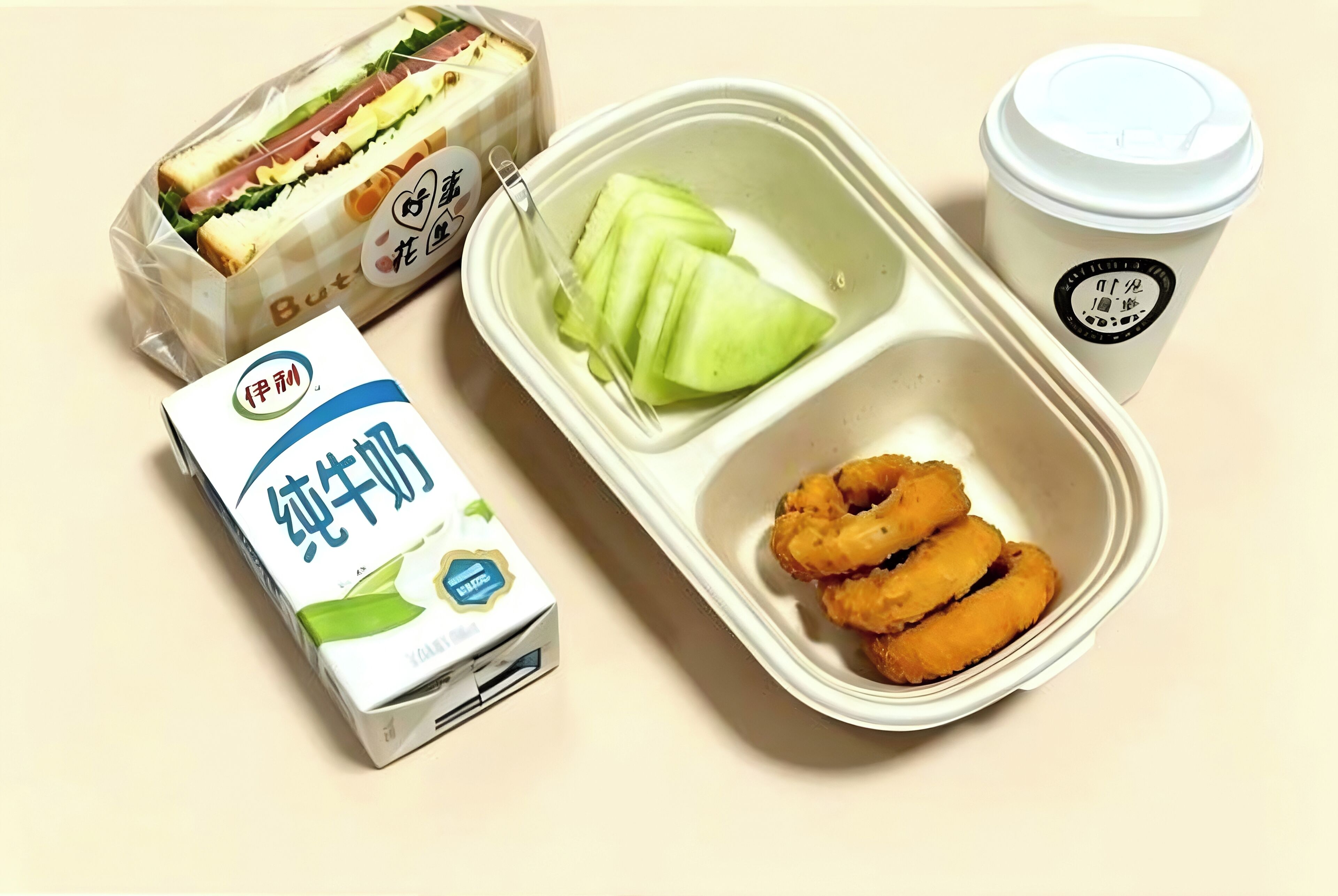 A meal with a sandwich, a container with a salad and onion rings, and a carton of milk.