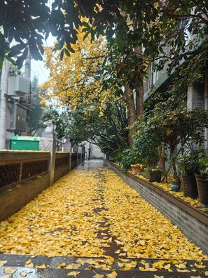 บริเวณภายนอก