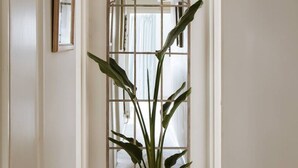 Une plante en pot placée dans un encadrement de porte, avec un vitrail décoratif.