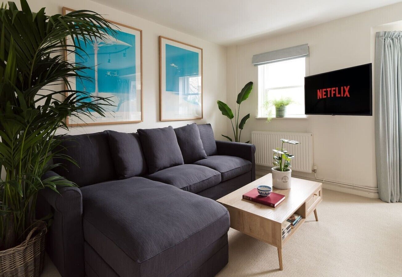 TV
