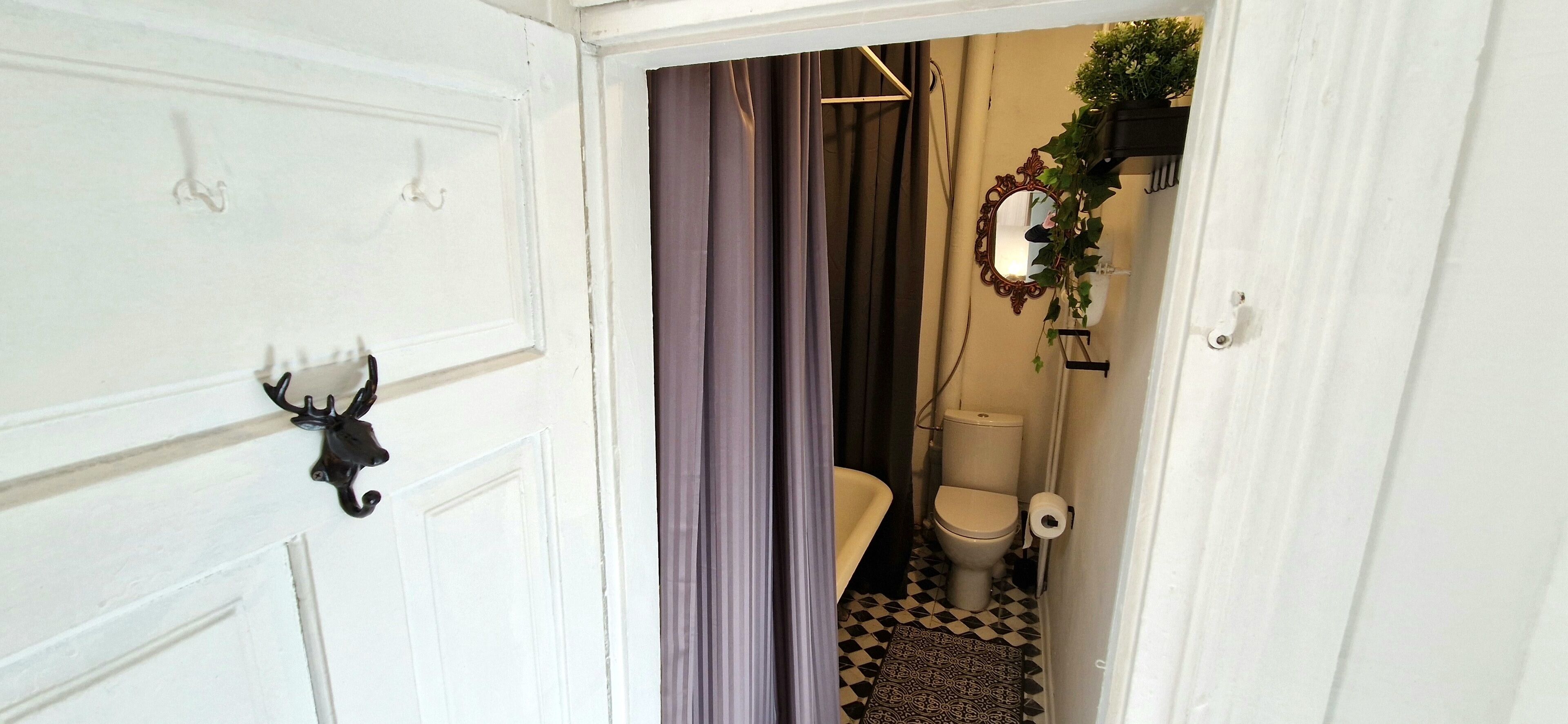 A narrow hallway leading to a bathroom with a toilet, a roll of toilet paper, and a hanging plant.