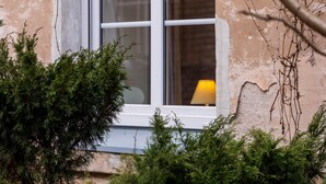 A window with a view of a building's interior, surrounded by greenery and branches.