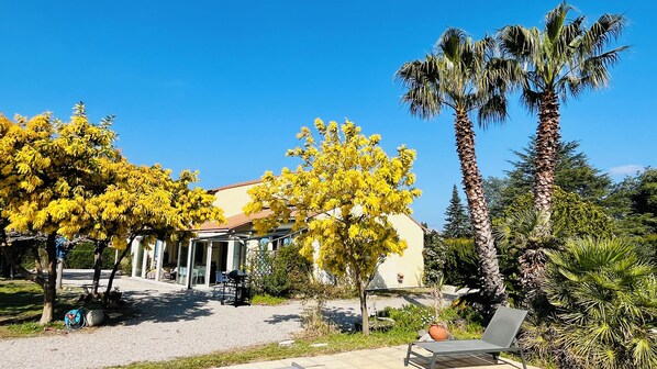 Une cour avec une maison, des palmiers et un fauteuil de relaxation.