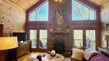 Smart TV, fireplace, books