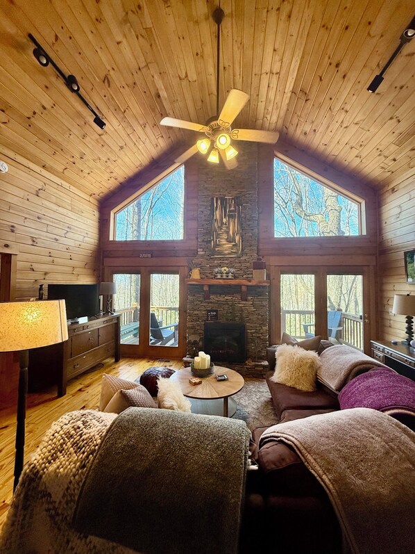 Smart TV, fireplace, books