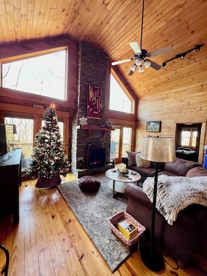 Smart TV, fireplace, books