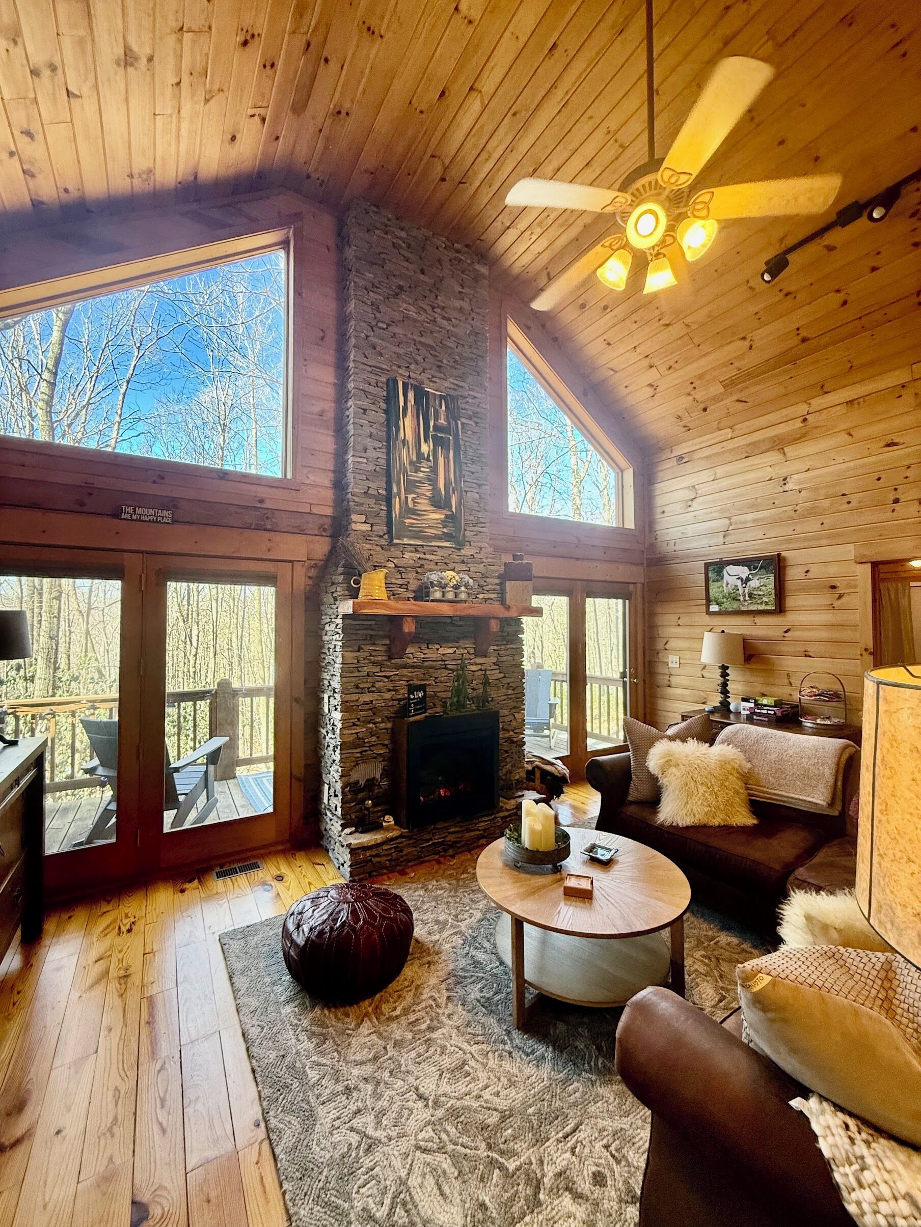 TV connectée, cheminée, livres