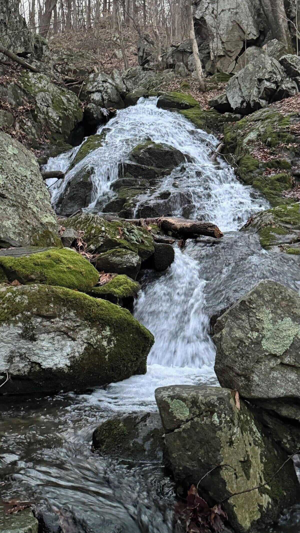 A natural waterfall in a forested area with rocks and moss.