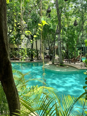 Pool - Acinte Residences (Tulum)
