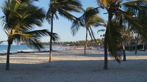 Ein Strand mit Palmen und blauem Himmel.