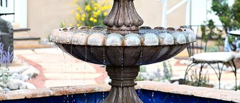 Fountain Area