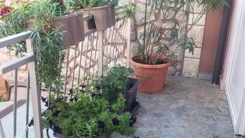 شقة (One Bedroom Apartment with Terrace) | المنشأة من الخارج