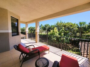 Terrace/patio - The nice house in great area of the town. (North Naples)
